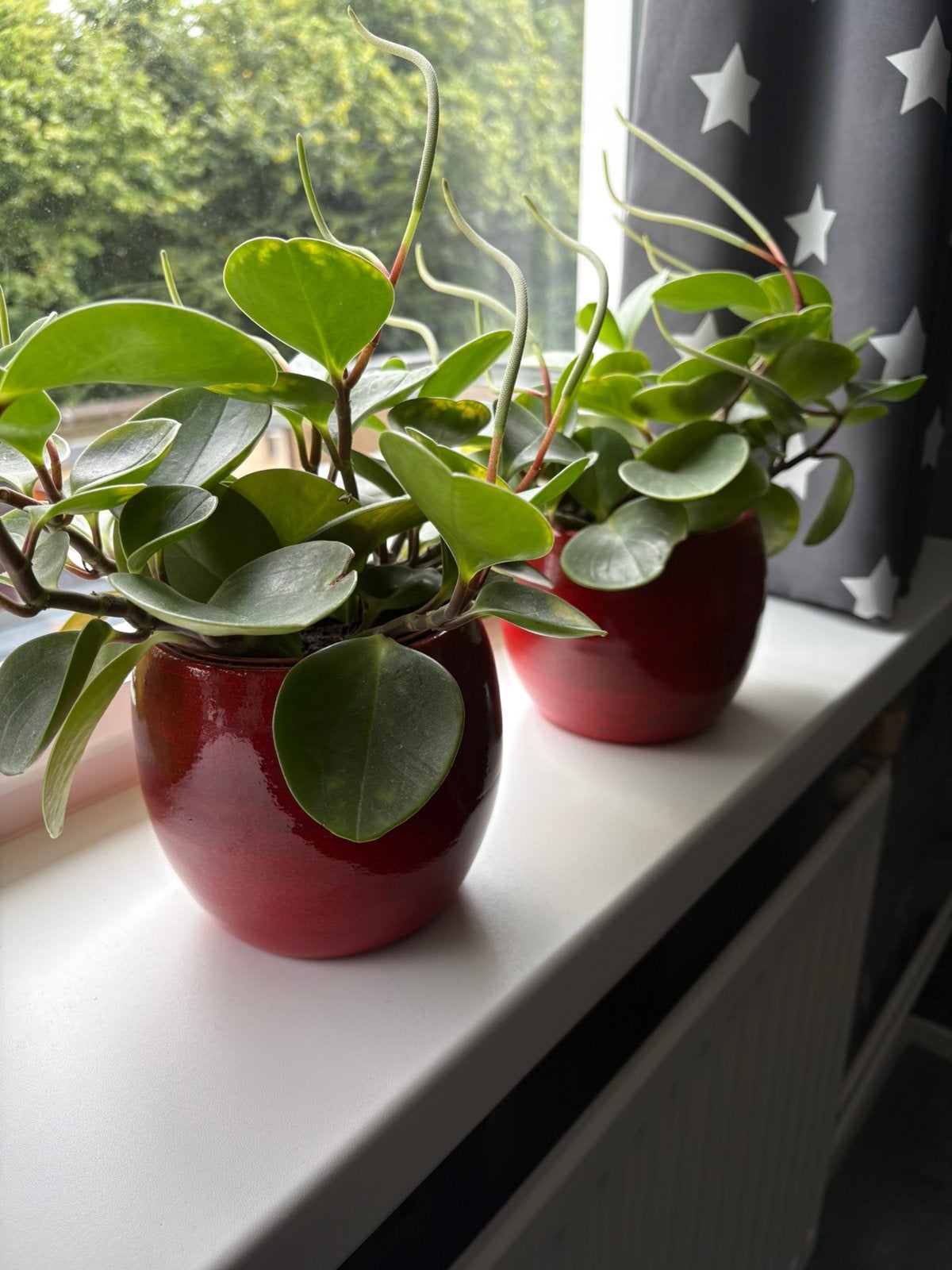 2 rode stenen bloempotjes Intratuin, Ophalen, Gebruikt, Rond, Binnen