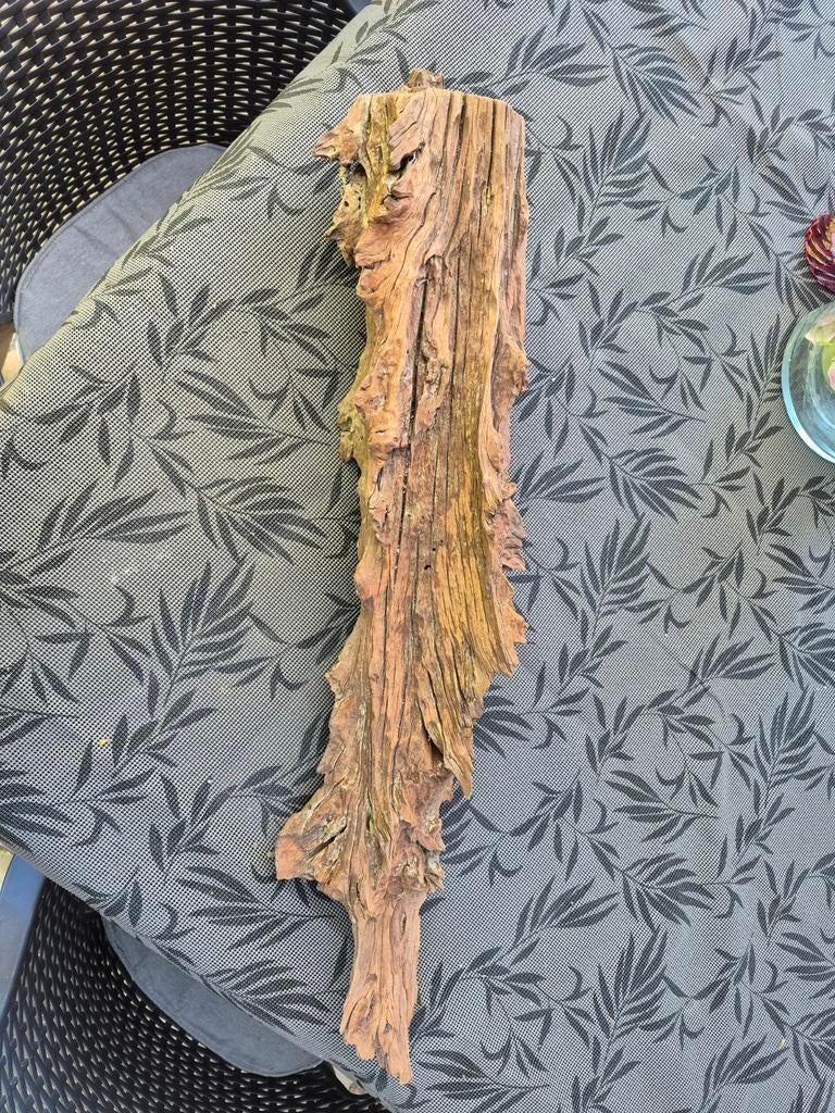 Decoratief stuk drijfhout, Ophalen of Verzenden