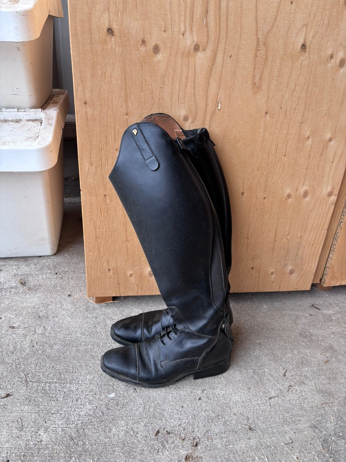 Petrie rijlaarzen, Dieren en Toebehoren, Paardrijkleding, Zo goed als nieuw, Dames, Schoeisel, Dressuur, Petrie, Overige maten