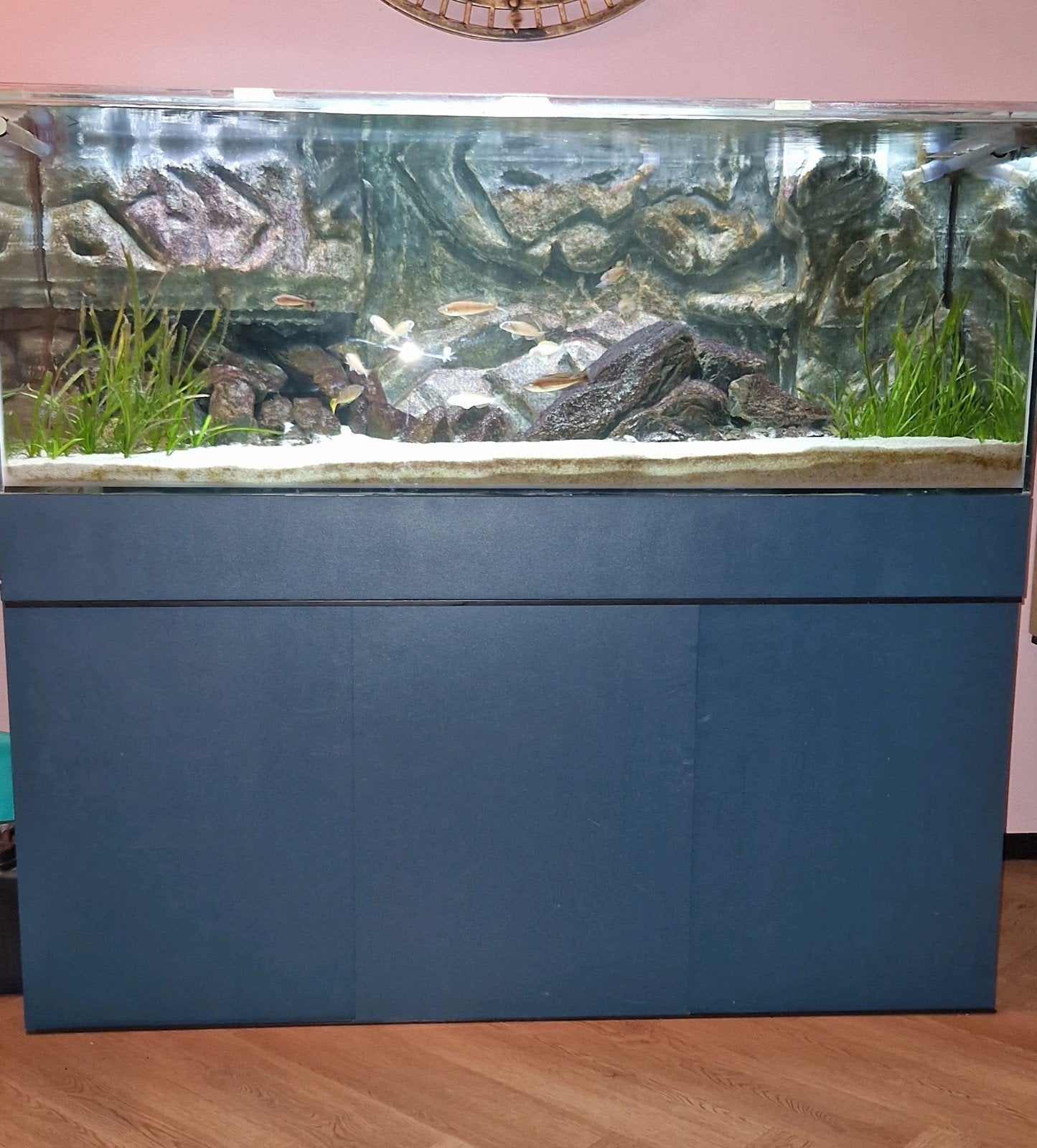 Zeer mooi optiwhite aquarium, 150x70x55, Ophalen, Verwarming, Zo goed als nieuw, Leeg aquarium