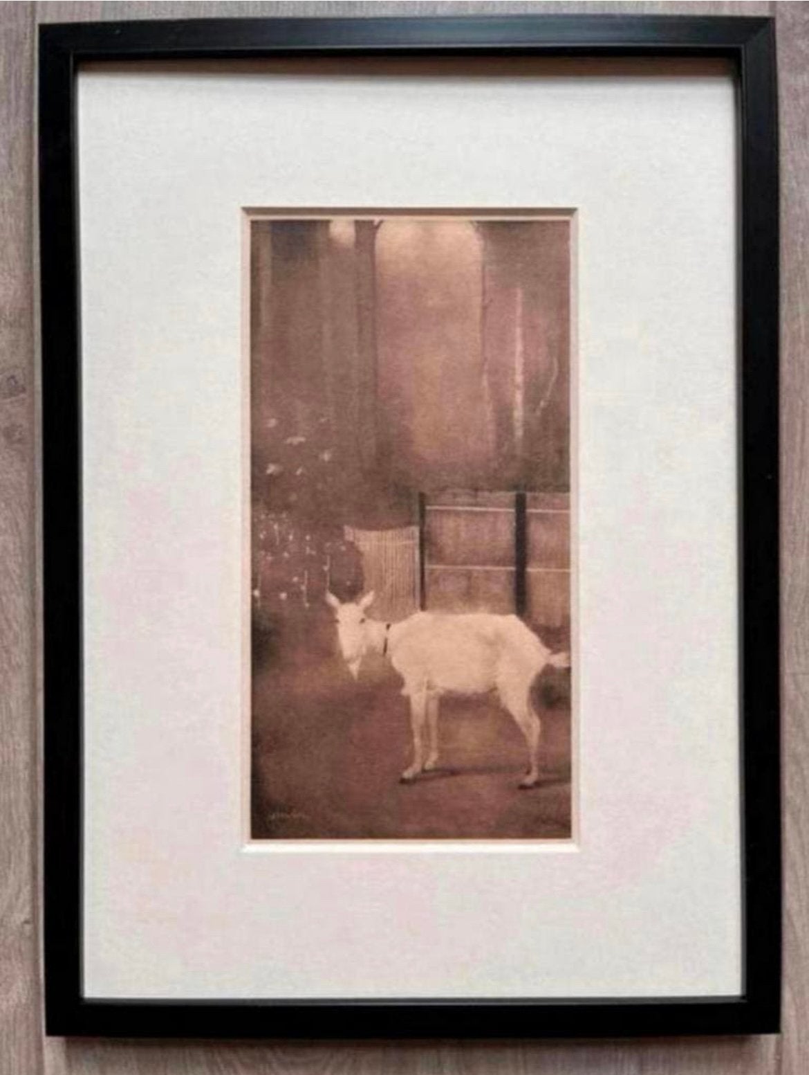 Jan Mankes 1889-1920 / Heliogravure Oude Geit 1923, Antiek en Kunst, Origineel, 23 cm, Ophalen of Verzenden, Gravure