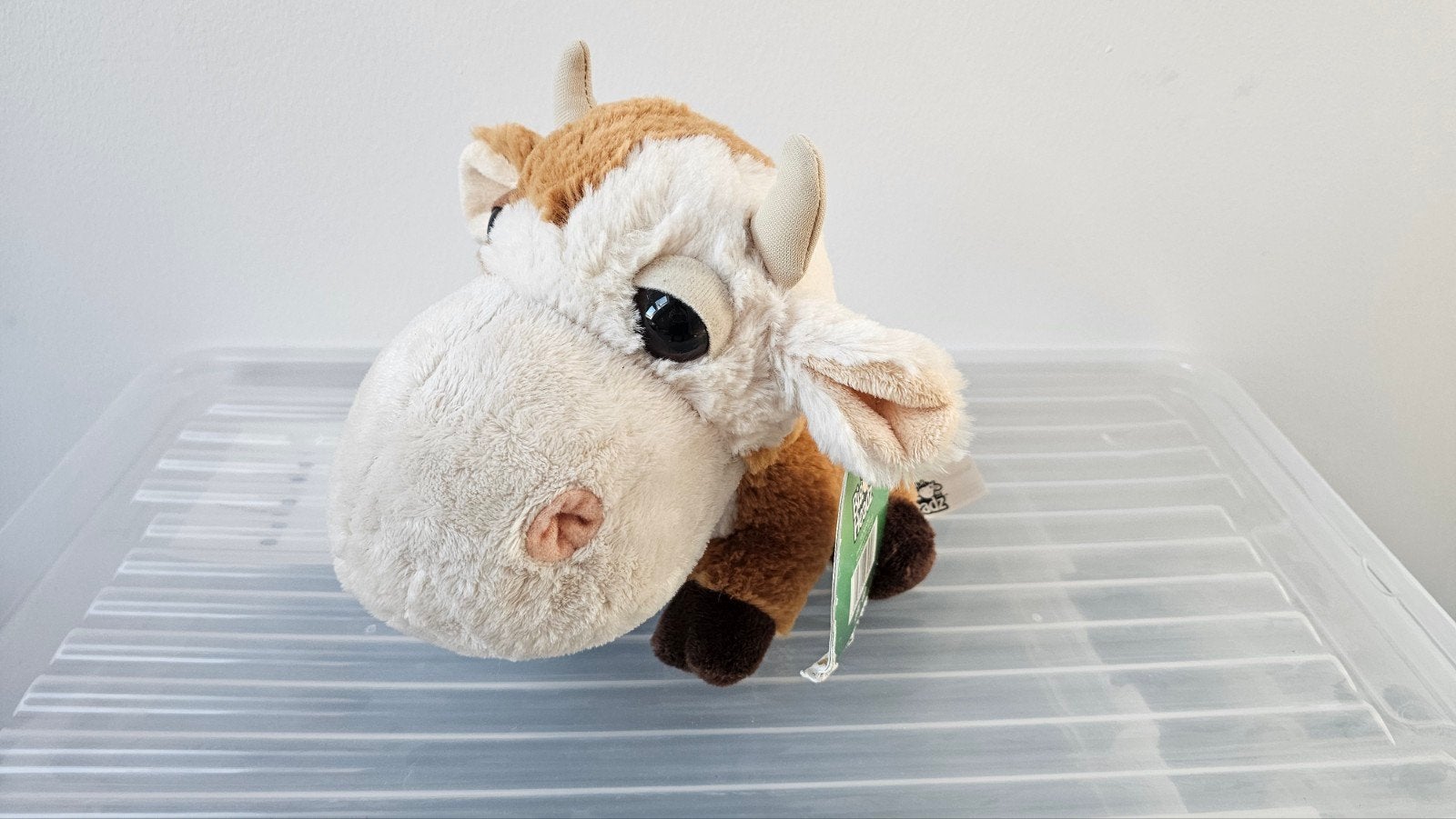 Knuffel koe, Ophalen, Nieuw, Koe