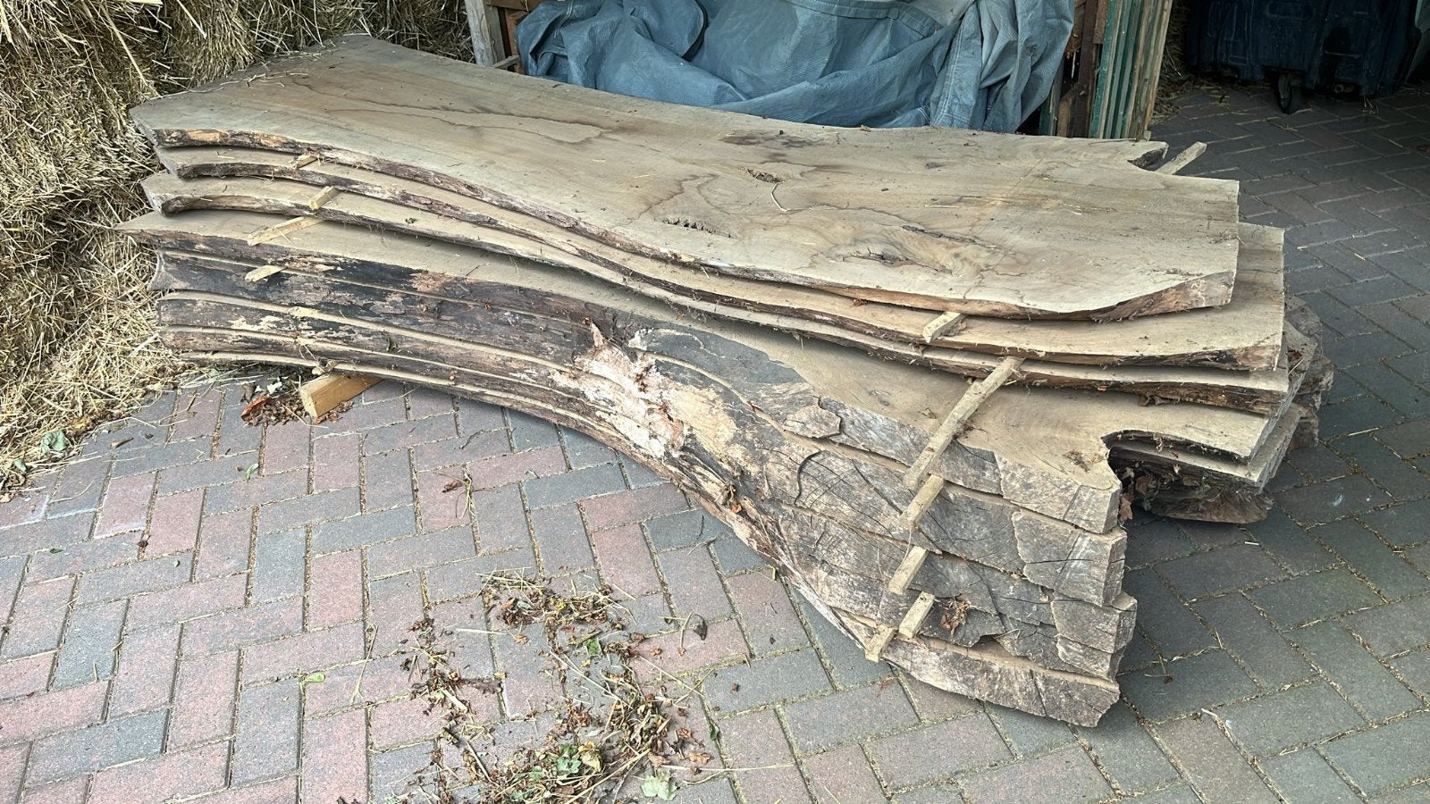 Rustieke Houten Planken - Diverse Maten, Ophalen, 25 tot 50 mm, Nieuw, 200 tot 250 cm