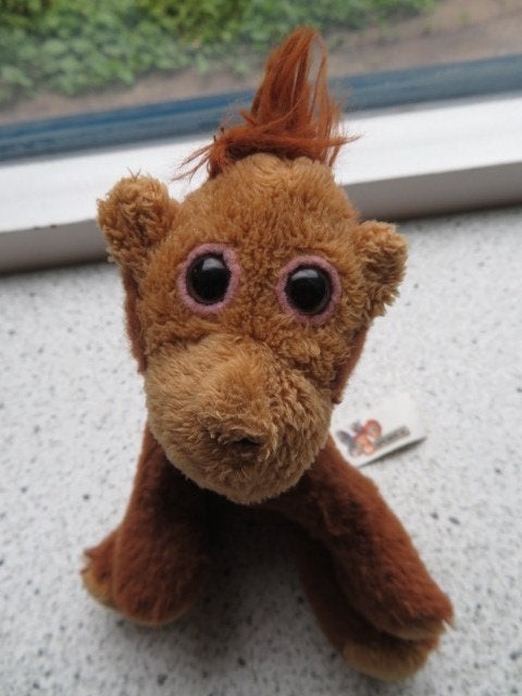 Aap aapje Orang Oetan van Apenheul Petjes World, Korrelvulling, Ophalen of Verzenden, Zo goed als nieuw, Klein (minder dan 20 cm)
