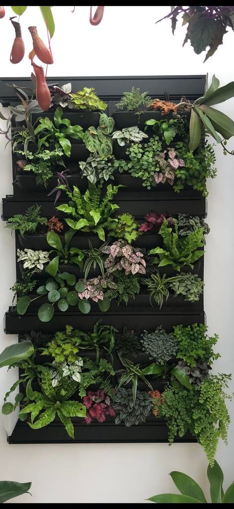 LivePanel Pack Mobilane 2x3 - Verticale Tuin, Ophalen, Gebruikt