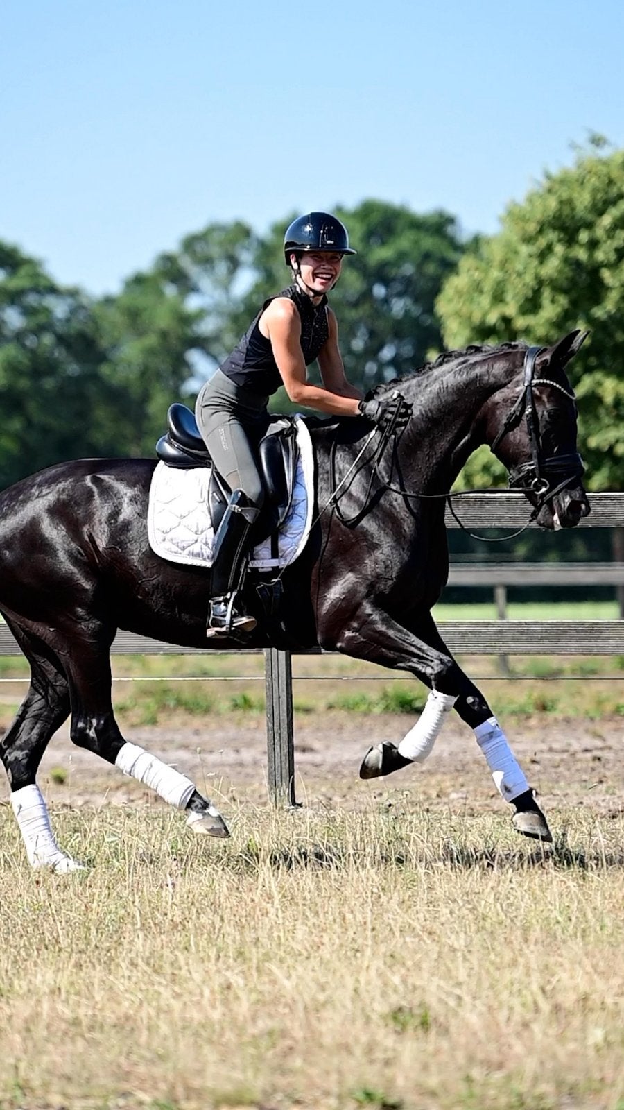 Zwarte parel (negro x furst romancier), Dieren en Toebehoren, Merrie, Dressuurpaard, 3 tot 6 jaar