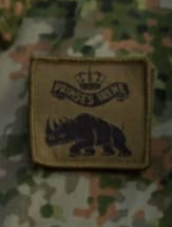 Gezocht: Borstembleem 17GFPi - Garde Fuseliers Prinses Irene, Verzenden, Landmacht, Nederland, Embleem of Badge