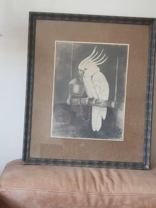 Litho Kaketoe Adriaan van 't Hoff uit circa 1923, Ophalen