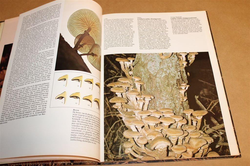 Paddestoelen — Groot Formaat & Rijk Geïllustreerd, Ophalen of Verzenden, Gelezen, Vogels