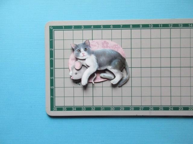 219 Amy / poes, Hobby en Vrije tijd, Kaarten | Zelf maken, Verzenden, Nieuw, Overige thema's, Overige typen