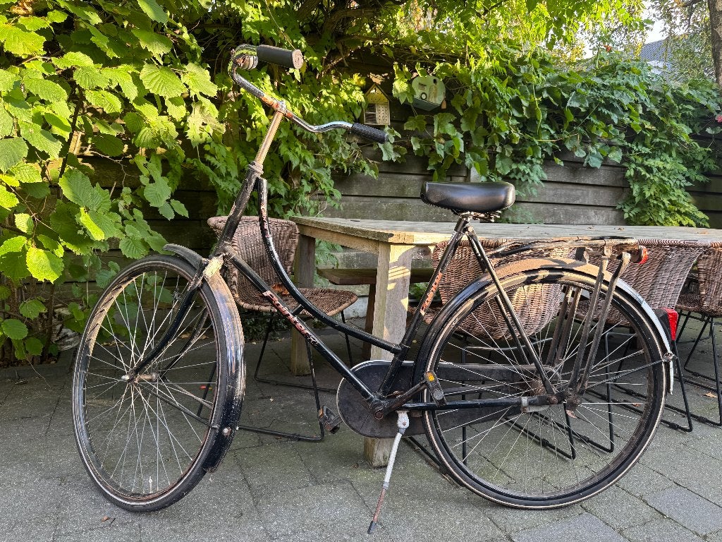 Merk Pointer damesfiets, Fietsen en Brommers, Terugtraprem, Ophalen, Overige merken, 53 tot 56 cm