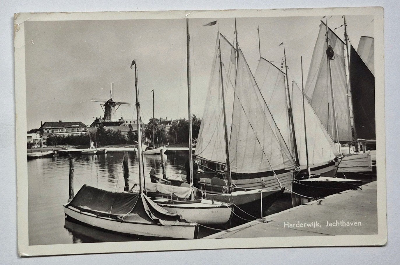 Harderwijk ( Gld. ) Jachthaven  / Molen De Hoop, Ophalen of Verzenden, 1940 tot 1960, Gelopen, Gelderland