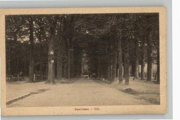 Ede Boschlaan handkar en honden, Verzenden, Voor 1920, Ongelopen, Gelderland