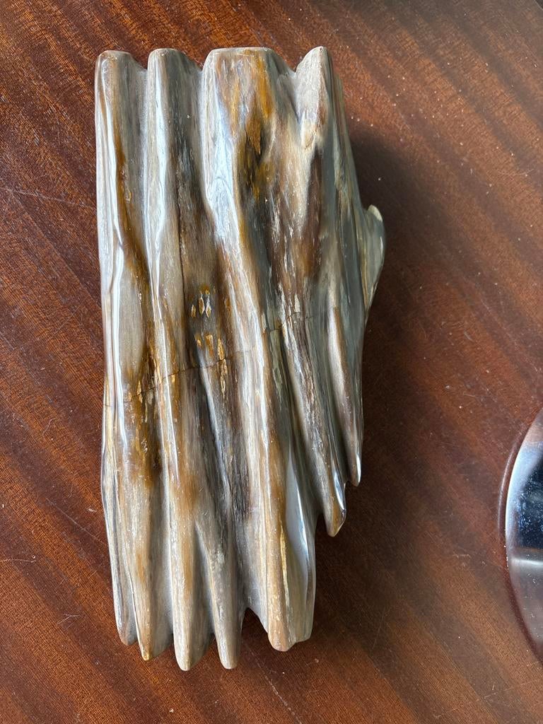 Versteend hout, Ophalen of Verzenden, Fossiel