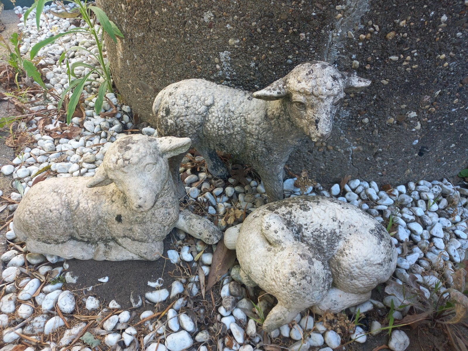 schapen set  tuinbeelden, Tuin en Terras, Ophalen of Verzenden, Steen