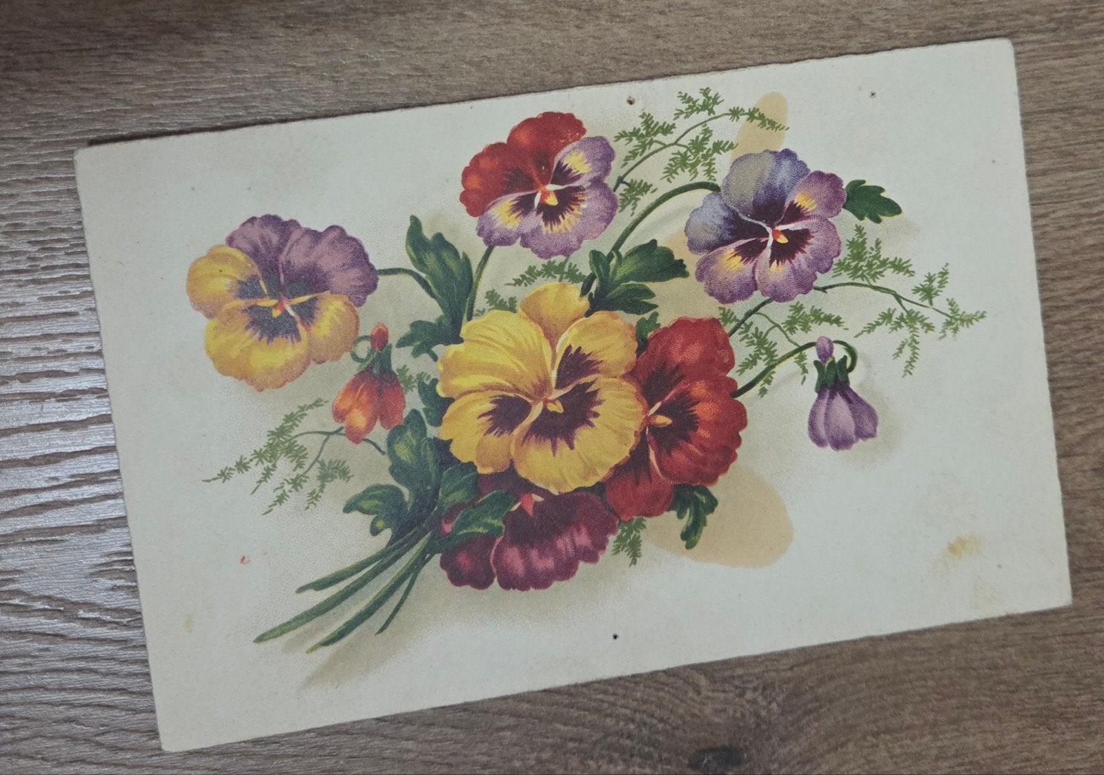 Oude ansichtkaart met viooltjes, Verzenden, 1920 tot 1940, Ongelopen, Overige thema's