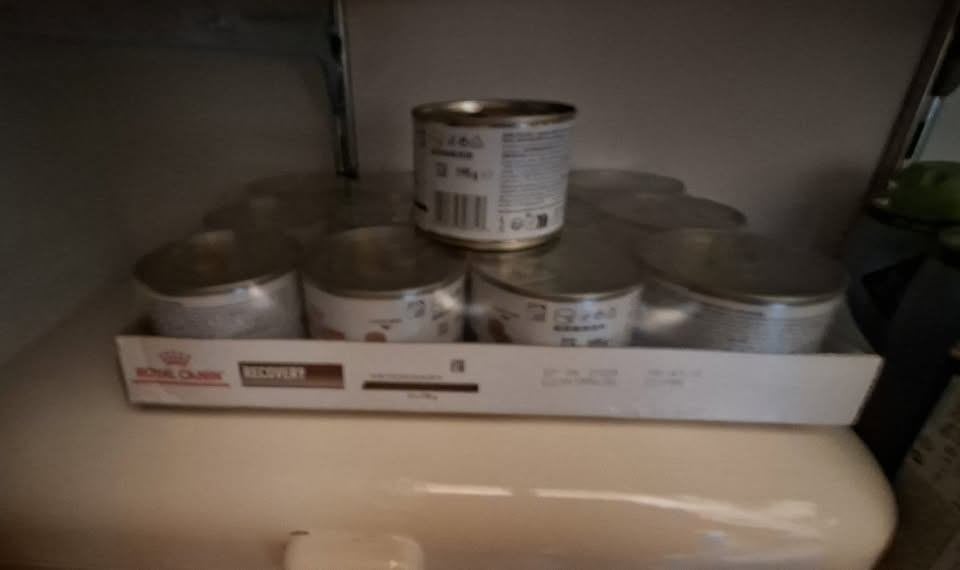 Royal Canin recovery voer voor hond of kat, Ophalen, Hond
