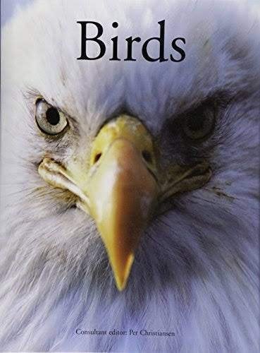 Per Christiansen: Birds. Hardcover, grootformaat, Engels, Boeken, Natuur, Zo goed als nieuw, Vogels, Ophalen of Verzenden