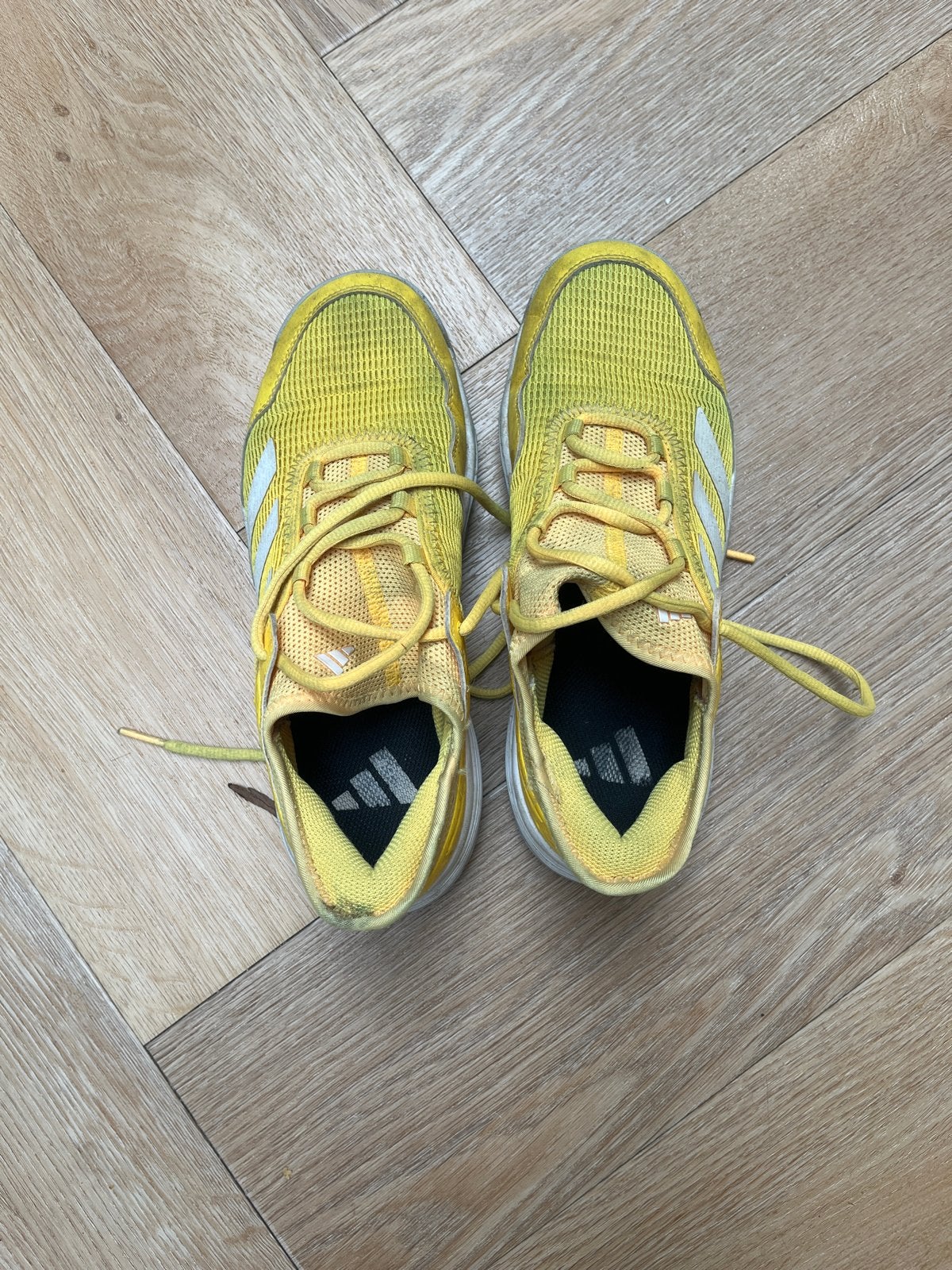Tennisschoenen. Adidas sneakers, maat 36, geel, Ophalen of Verzenden, Gedragen, Geel, Sneakers of Gympen