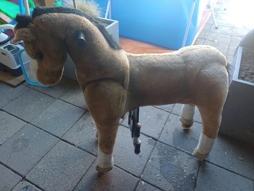 Rijdend speelgoedpaard - Animal Riding paard, Ophalen, Gebruikt