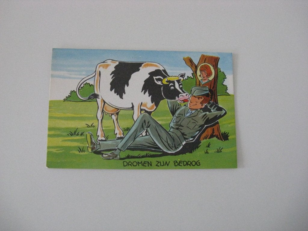 Militair Ansichtkaart Kleur Dromen zijn bedrog, Ophalen of Verzenden, 1960 tot 1980, Gelopen, Overige thema's