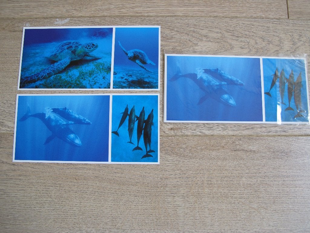 Mooie nieuwe set van 6 panorama ansichtkaarten Greenpeace, Verzamelen, Ophalen of Verzenden, 1980 tot heden, Waterdier