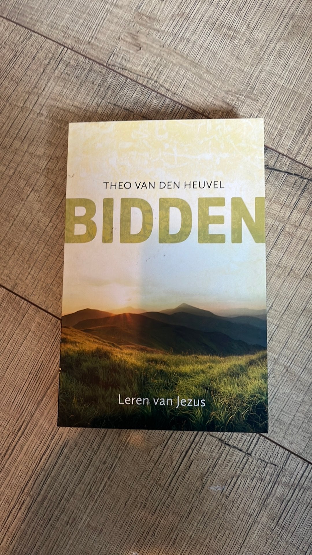 Bidden, Theo van den Heuvel, Ophalen of Verzenden, Zo goed als nieuw