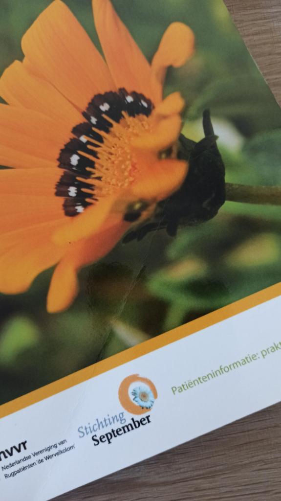 Zorgboek Hernia - Stichting September, Ophalen of Verzenden, Zo goed als nieuw