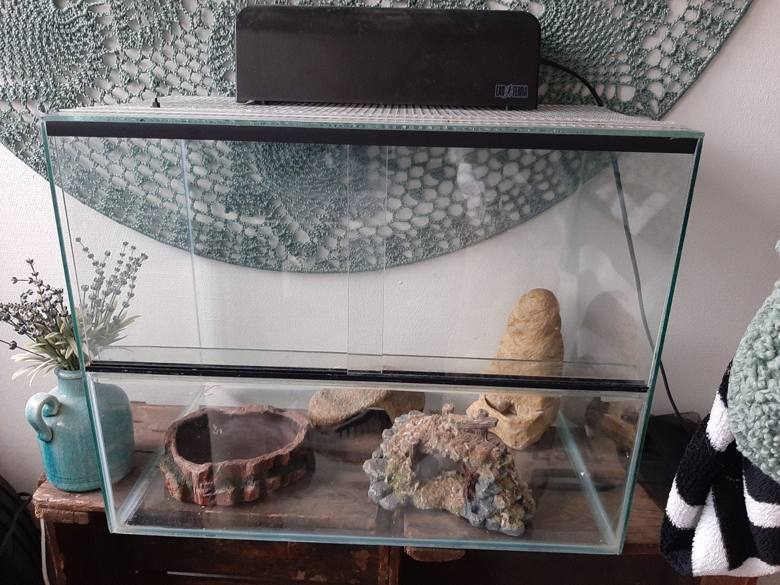 Gerbillarium  glas 40 /80 /50 hoog, Zo goed als nieuw, Muis, Hok, 75 tot 110 cm