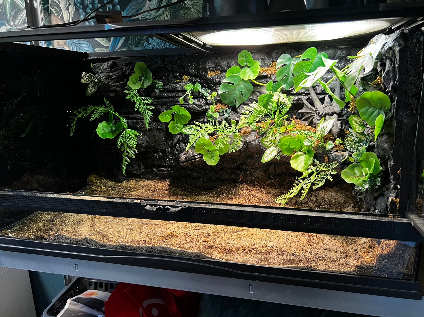 Terrarium  B: 90 D:45 H:48, Ophalen, Zo goed als nieuw
