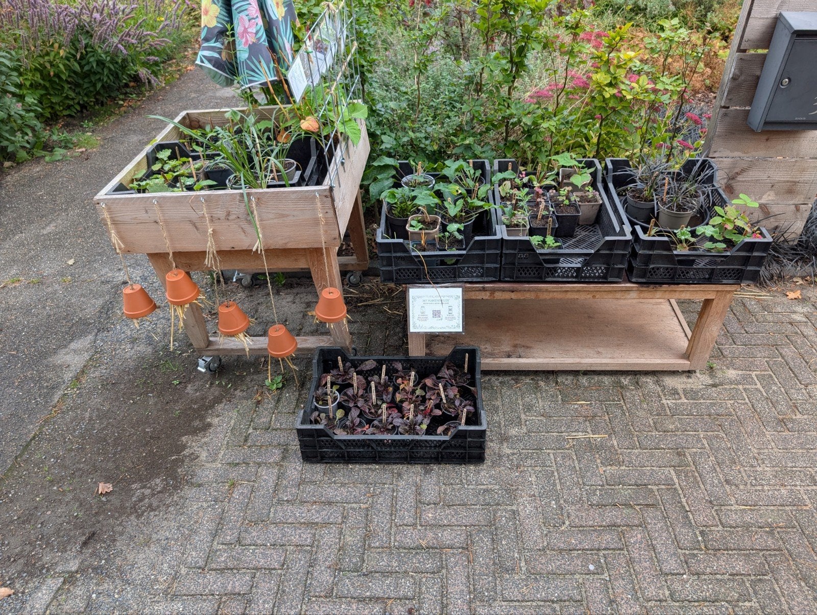 Plantentafels aan de weg met vaste planten vanaf €0,50, Ophalen, Overige soorten, Halfschaduw