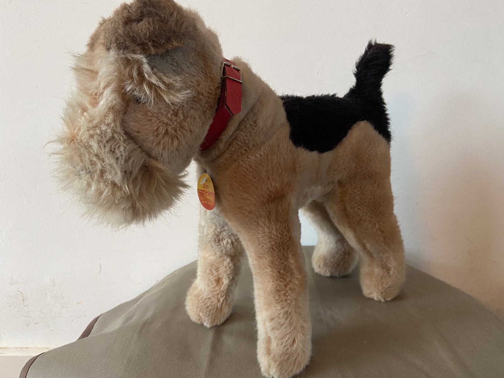 Steiff Airdale terrier Arry, 4216/30, Ophalen of Verzenden, Zo goed als nieuw, Overige typen, Steiff