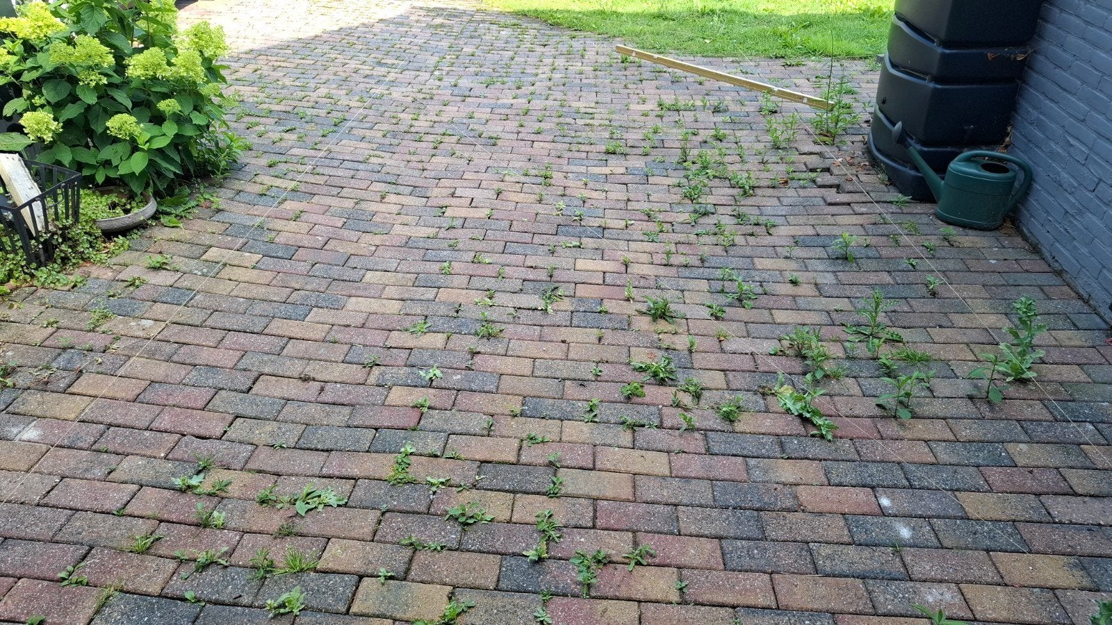 Gratis bonte klinkers - ca. 50 m2, Tuin en Terras, Tegels en Klinkers, Ophalen