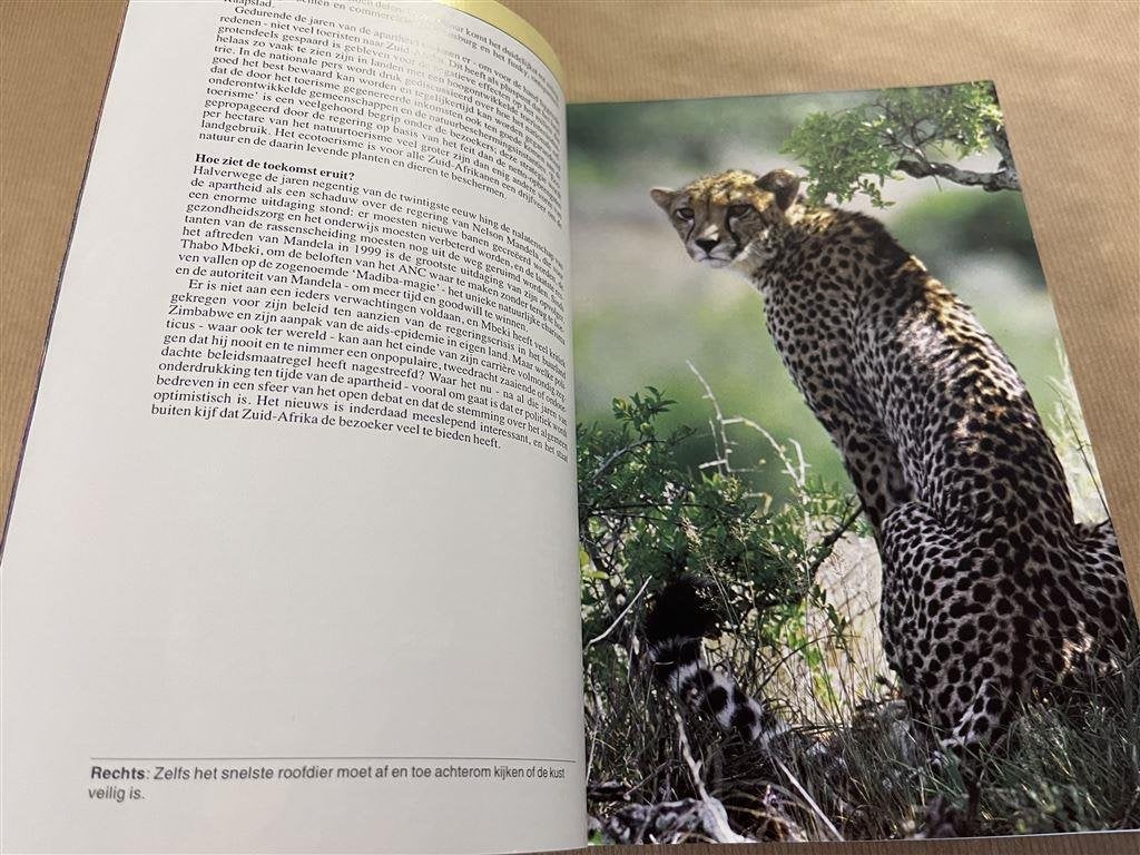 Zuid-Afrika. Insight Guides., Europa, Ophalen of Verzenden, Reisgids of -boek, Gelezen
