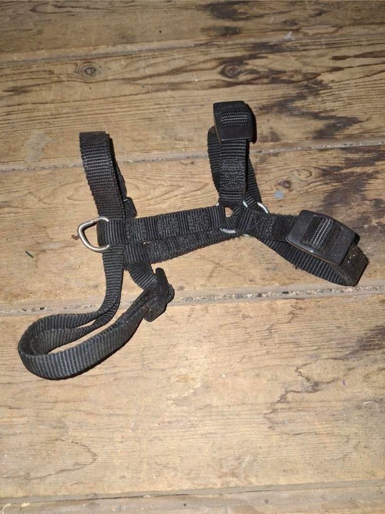jolly hondentuigje 2 stuks 45 en 40 cm, Dieren en Toebehoren, Ophalen of Verzenden, Zo goed als nieuw