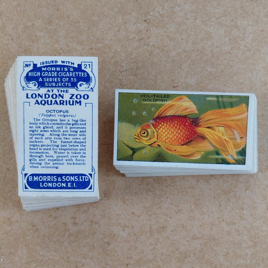 At the London Zoo Aquarium compl set 35 cigarette cards 1928, Ophalen, Gebruikt