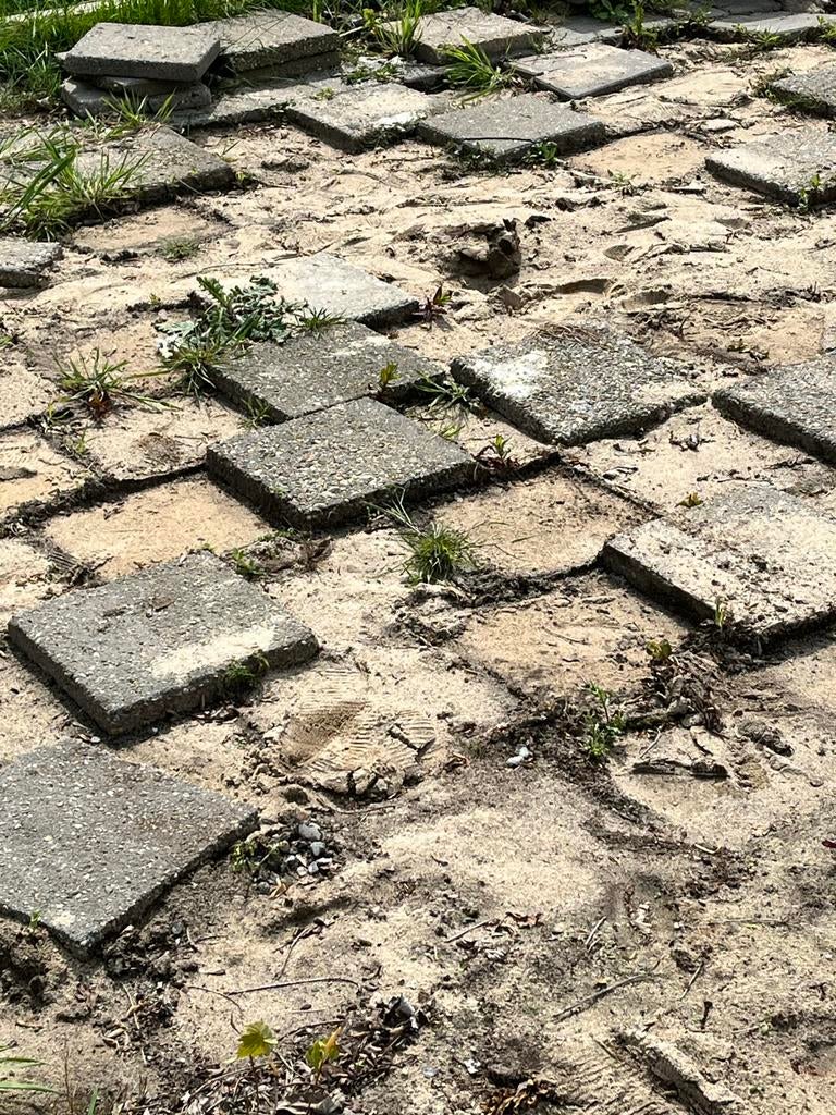 Gratis stoeptegels af te halen in Herpen - Snel weg!, Tuin en Terras, Ophalen, Gebruikt, 10 m² of meer, Beton