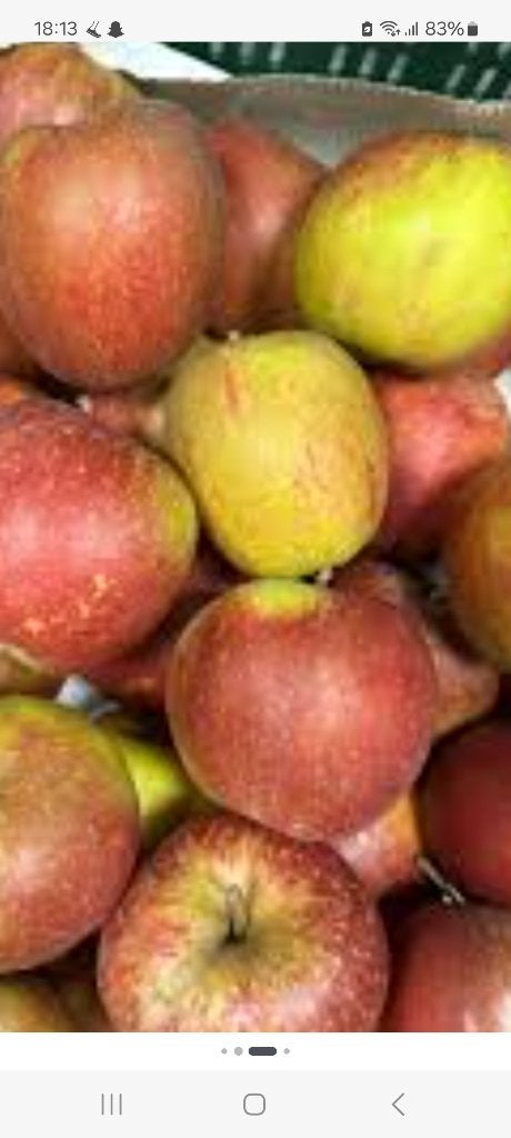 Appels goudreinetten, Ophalen, Nieuw