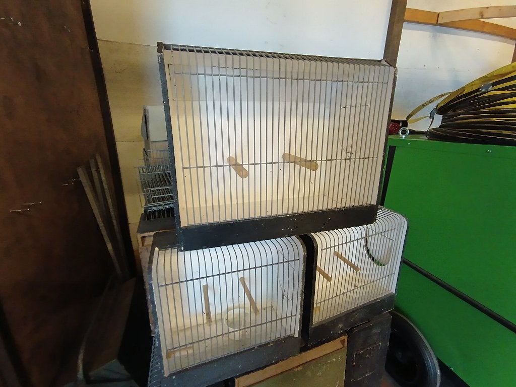 Tentoonstelling kooi, Ophalen, Gebruikt, Hout, Vogelkooi