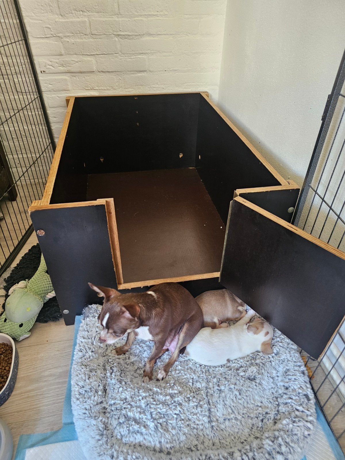 Werpkist kleine hond, Dieren en Toebehoren, Ophalen, Zo goed als nieuw