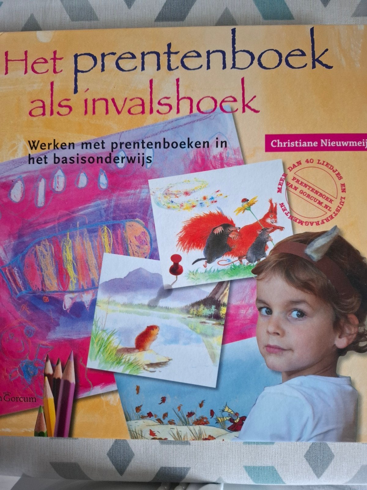 Het prentenboek als invalshoek - Christiane Nieuwmeijer, Boeken, Ophalen of Verzenden, Gelezen, Christiane Nieuwmeijer, Prentenboek