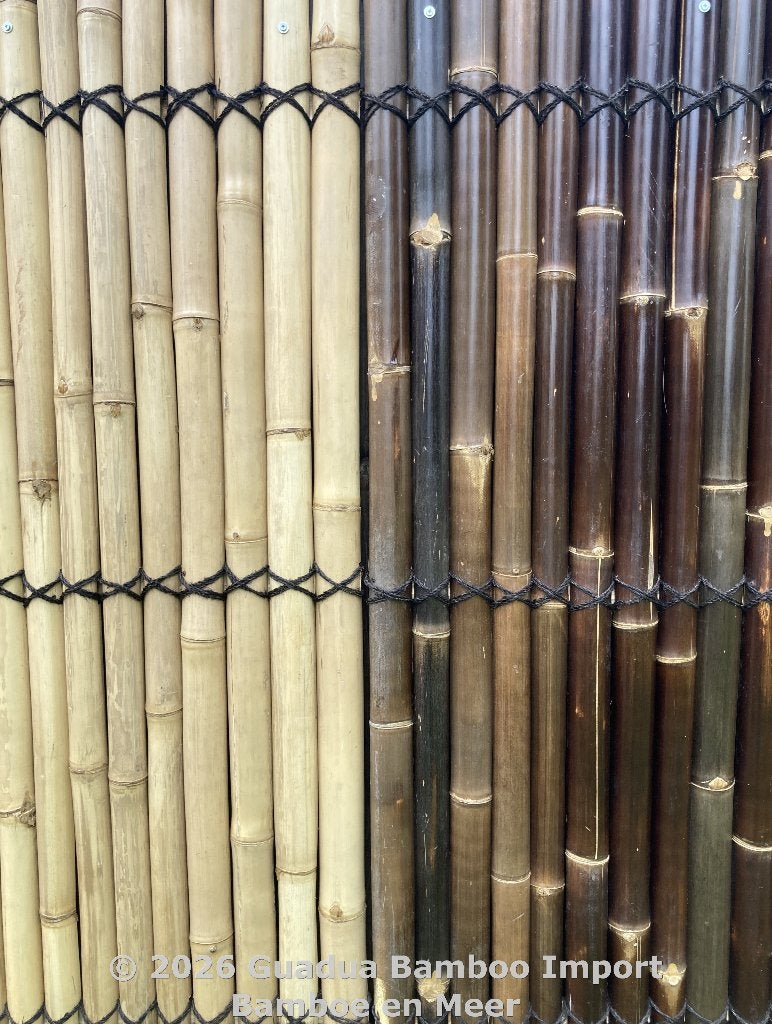 Tuinscherm bamboe donker of naturel halfrond, Tuin en Terras, Ophalen, Minder dan 100 cm, Nieuw, 150 tot 200 cm