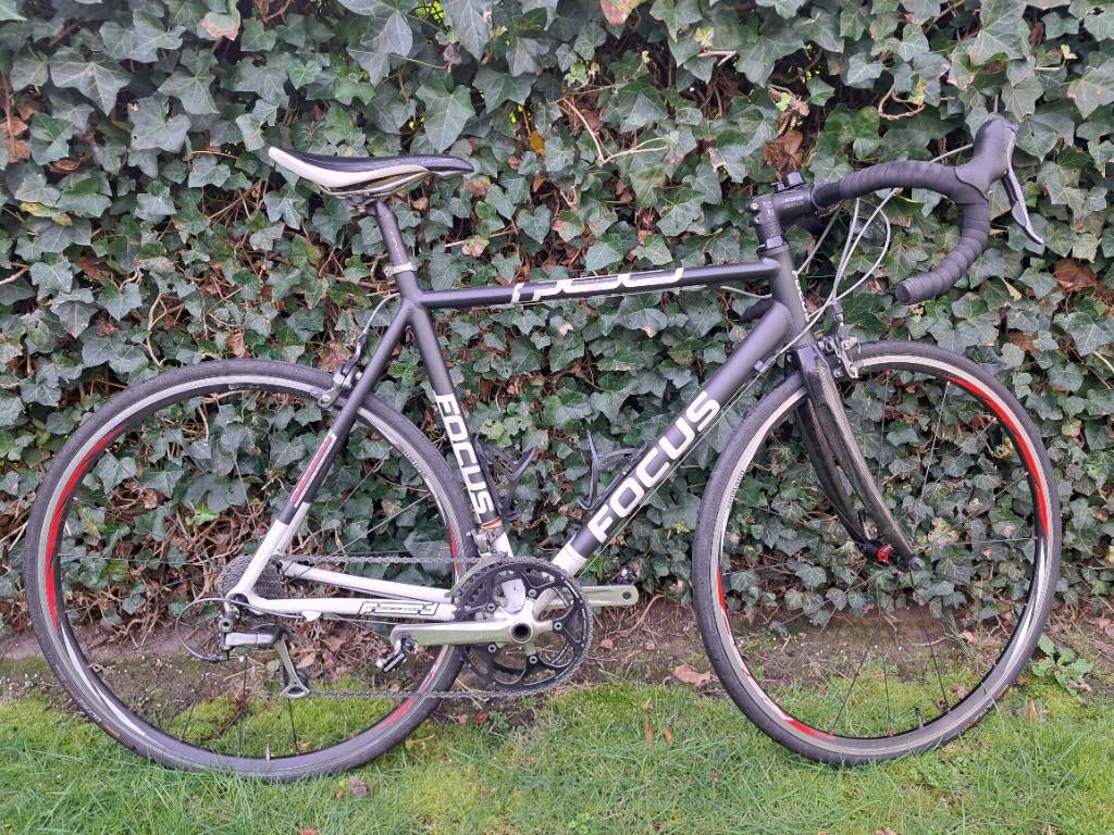 Focus racefiets, Gebruikt, Heren, Aluminium, Meer dan 20 versnellingen