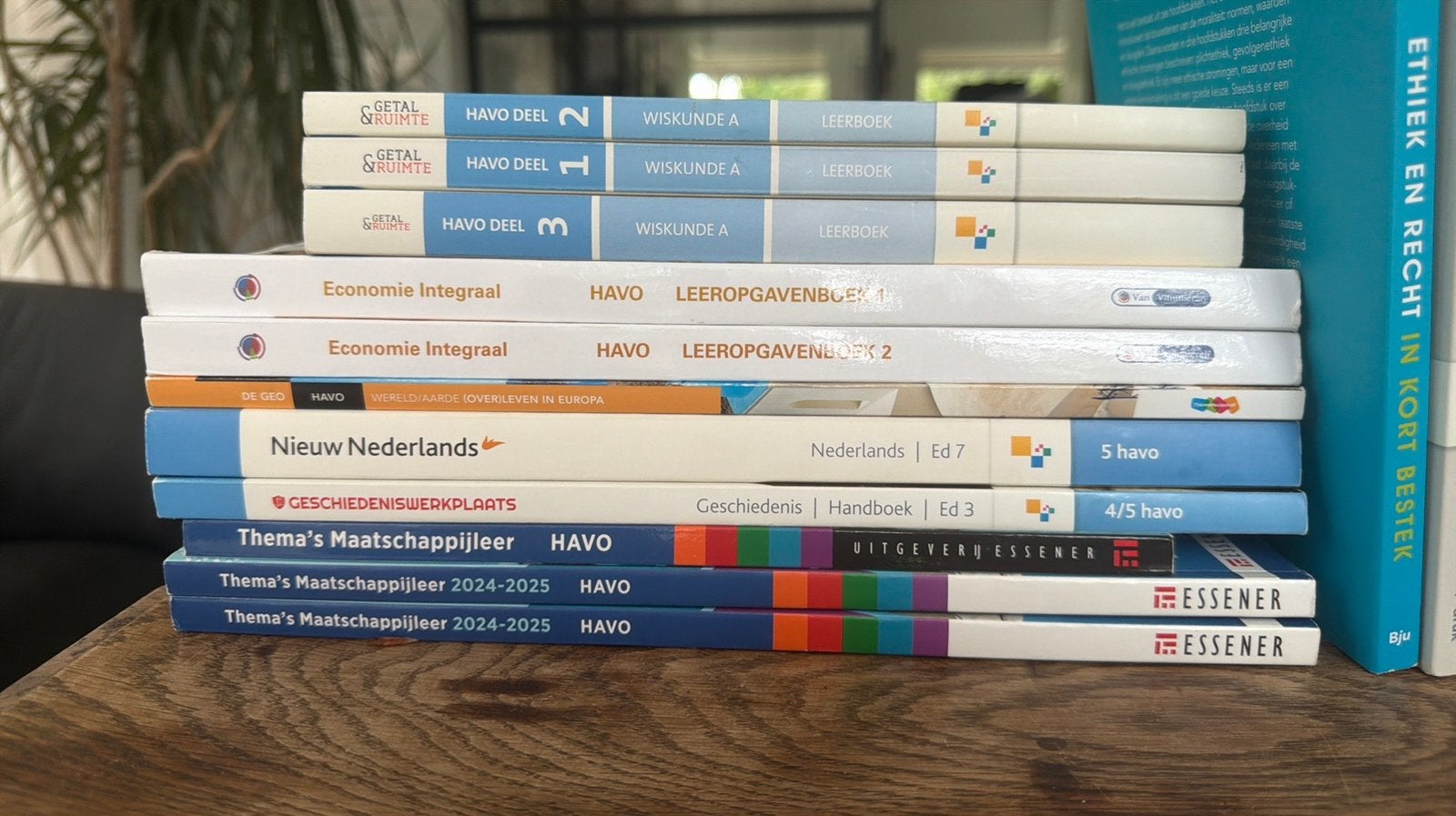 Havo Economie Geo Nederlands Geschiedenis Maatschappijleer, Ophalen of Verzenden, Zo goed als nieuw, HAVO