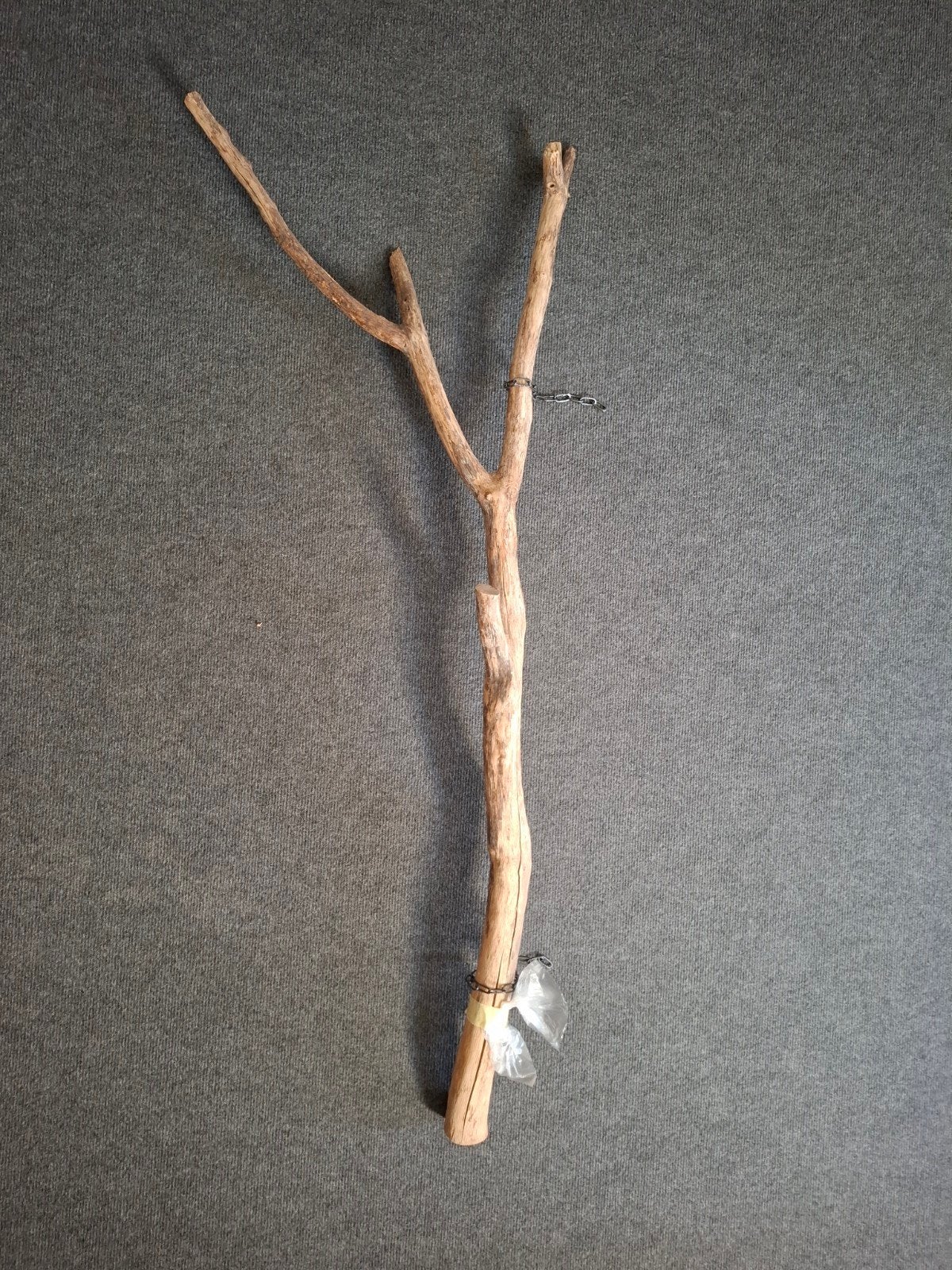 Decoratieve tak, Ophalen