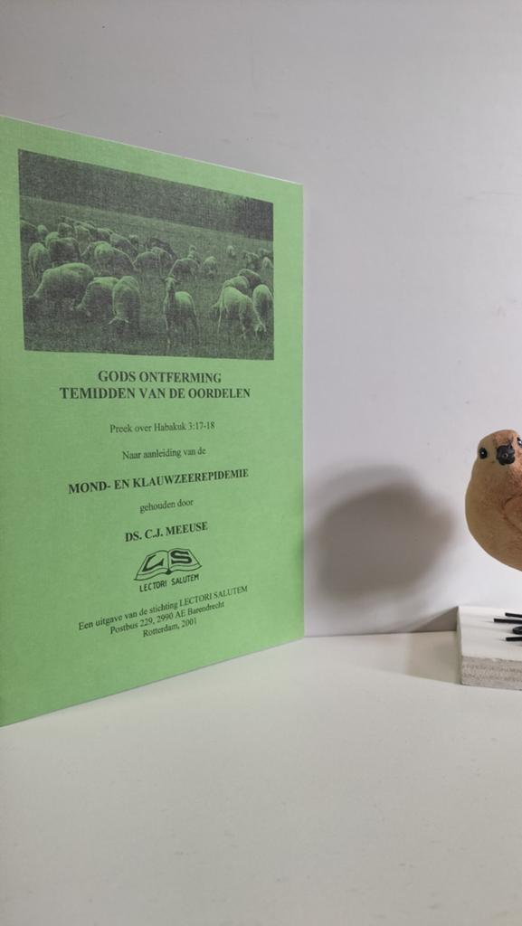 Meeuse, Ds. C.J.; Gods ontferming temidden van de oordelen, Ophalen of Verzenden, Gelezen, Christendom | Protestants