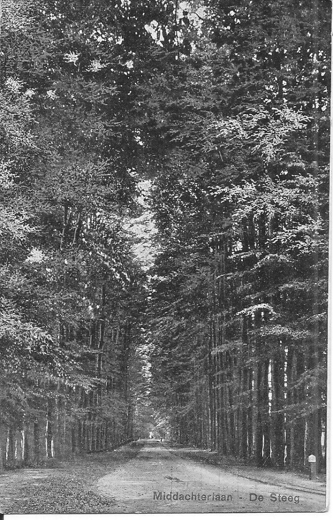 Ansichtkaart Middachterlaan - De Steeg (1908), Ophalen of Verzenden, Voor 1920, Gelopen, Gelderland