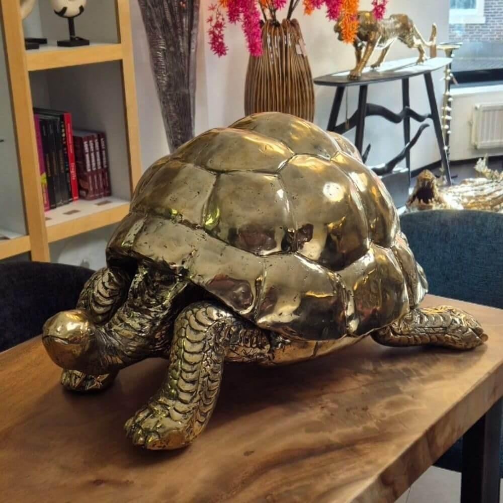 Schildpad beeld XXL messing goud, Oceanië, Flora, Beeld, Goud
