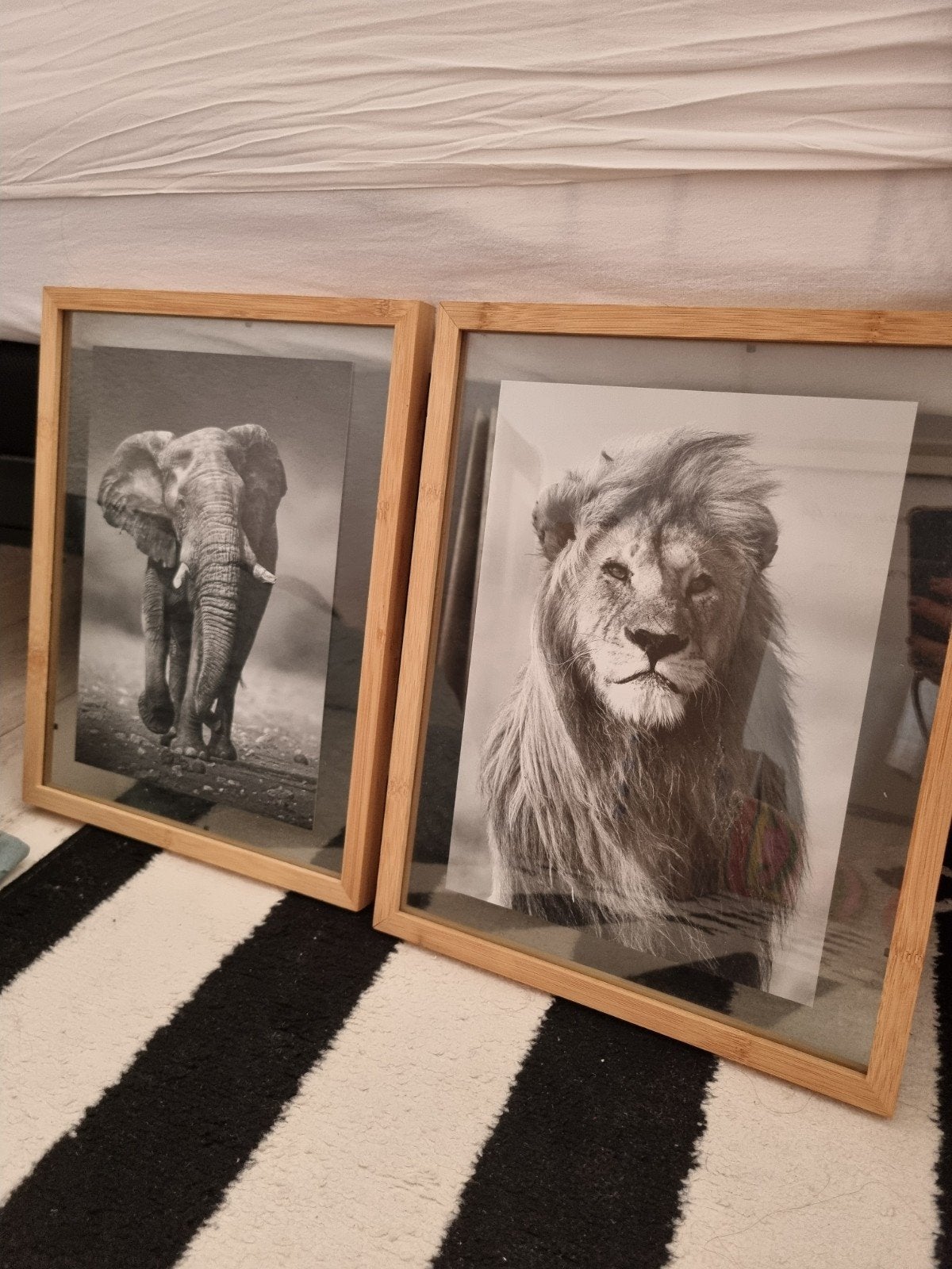 2 mooie schilderijen / fotolijsten, Huis en Inrichting, Woonaccessoires | Schilderijen, Tekeningen en Foto's, Ophalen, Minder dan 50 cm