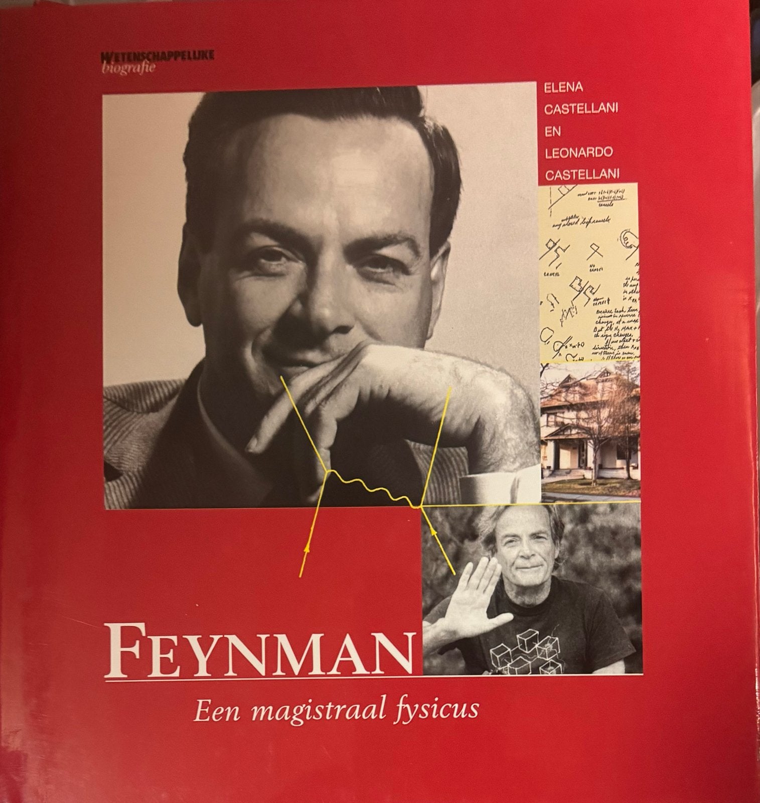 Feynman: Een magistraal fysicus - Wetenschappelijke biografi, Ophalen, Zo goed als nieuw, Wetenschap